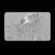 Diverticular bleeding, embolisation: AG - Angiography
