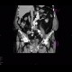 Fracture of pelvis, old: CT - Computed tomography
